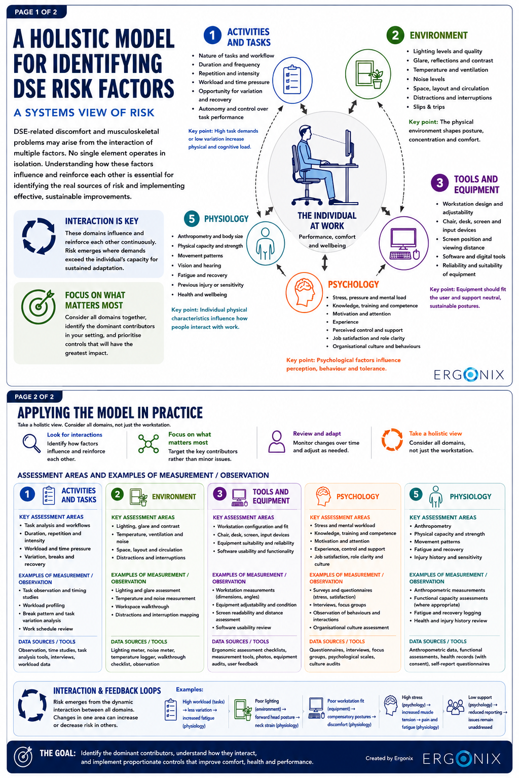 Holistic DSE assessment model showing how work tasks, workstation setup, environmental conditions, physical factors and psychological wellbeing interact to influence risk, comfort and workplace performance.